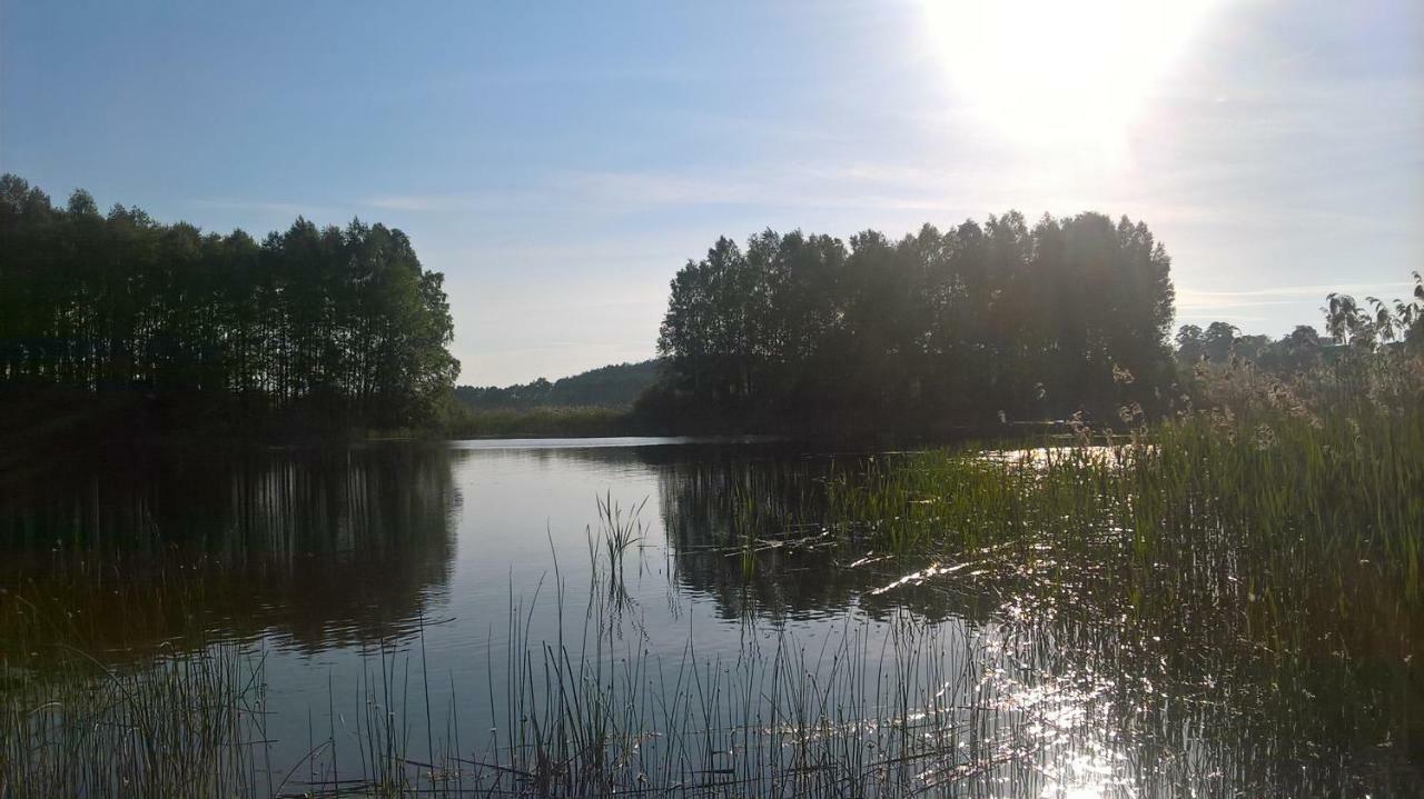 Spokoje Zalesie (Gmina Lidzbark) Exterior photo